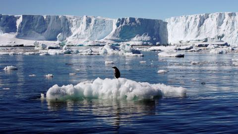 COP29: Climate financing draft in negotiation